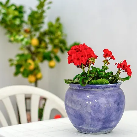 Mariro Apartment Racale