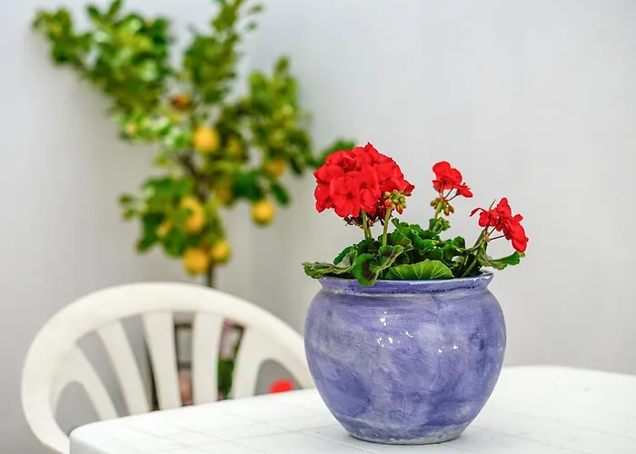 Mariro شقة راكالي